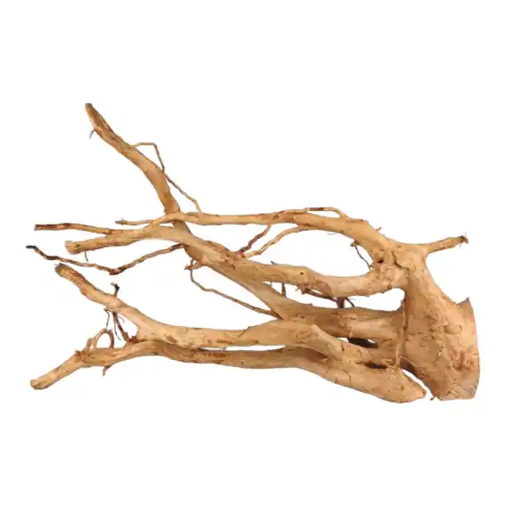 Cena promocyjna Korzeń Red Moor Wood 007 67x39x22 cm